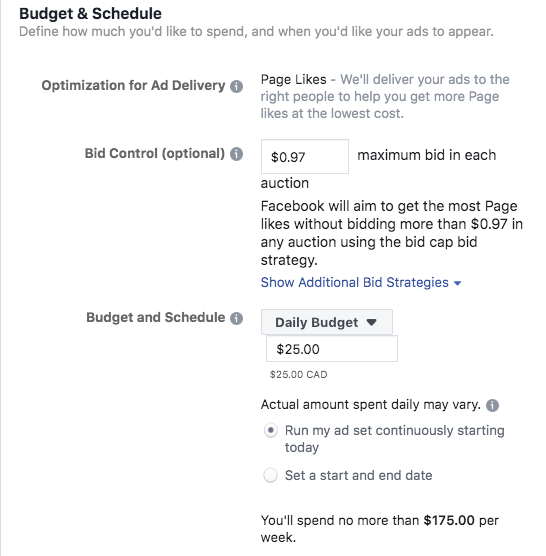 Facebook-ads-budget